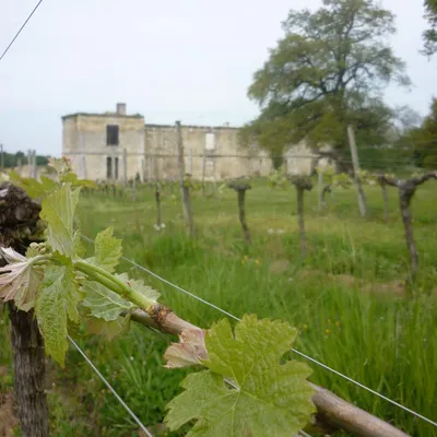 Château Boutinet