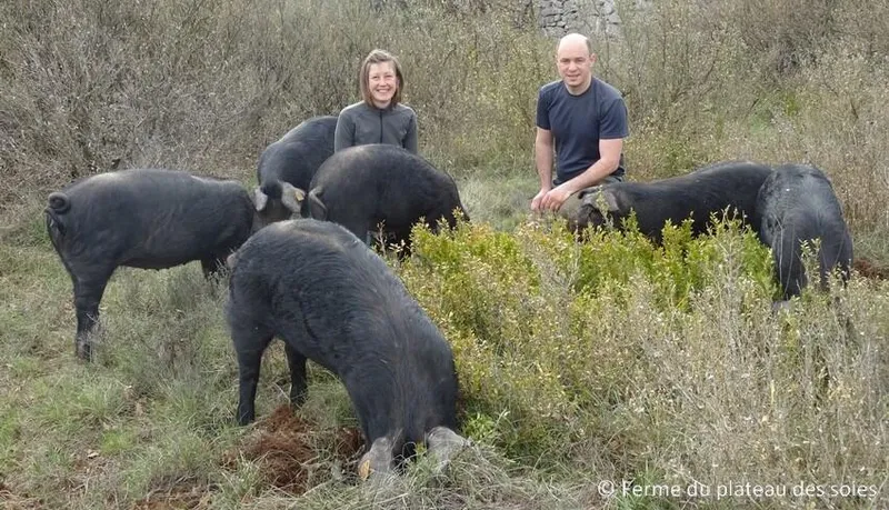 FERME DU PLATEAU DES SOIES