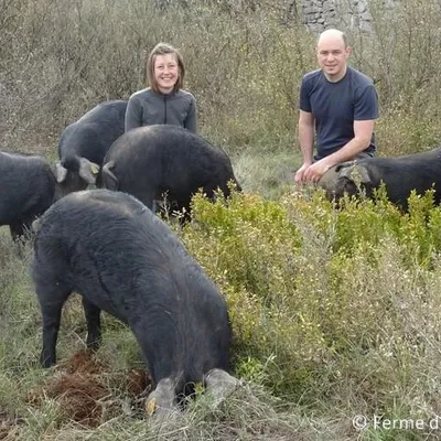 FERME DU PLATEAU DES SOIES