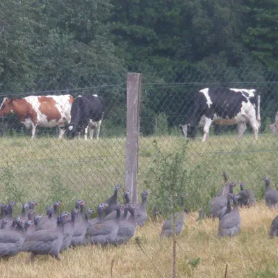 Ferme de l'Hortensia