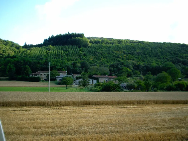 Le Juge