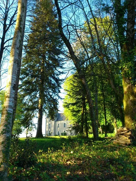 DOMAINE DE FORSAC - GREGOIRE DE MONTBRON