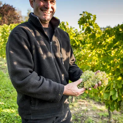 Domaine de Bellevue