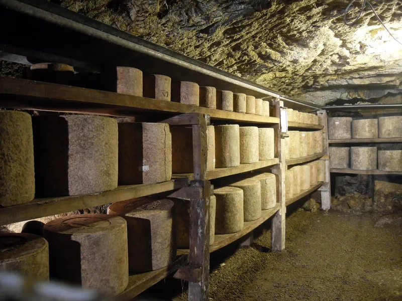 Ferme de la Borie Haute