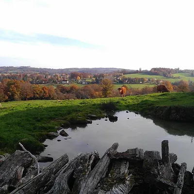 GAEC Puy de Banneix