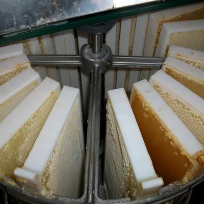 Les Ruchers de Lasfont