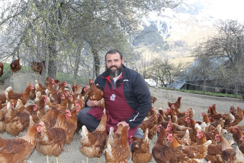 Les Si Belles Poulettes