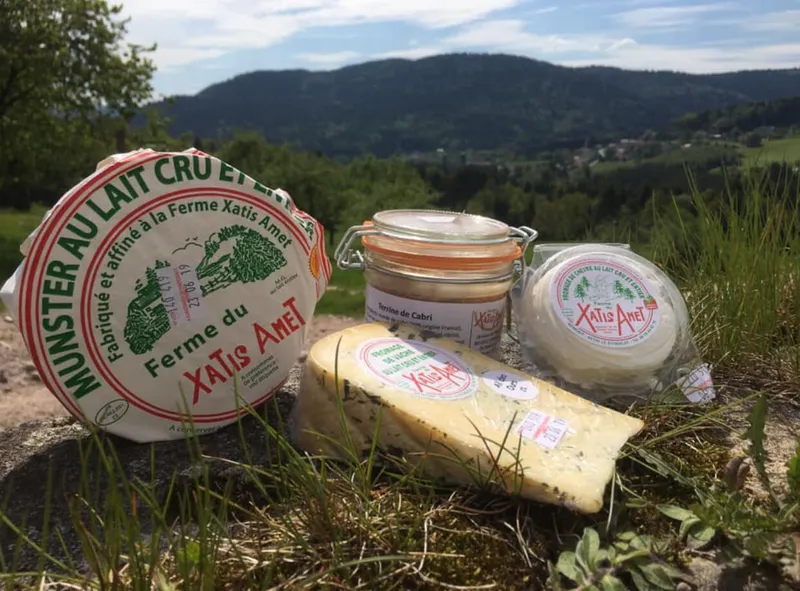 GAEC du XATIS AMET