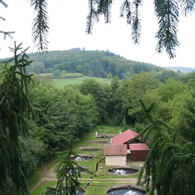 PISCICULTURE AUX SOURCES DU HEIMBACH
