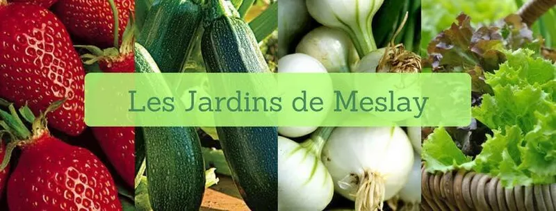 Les jardins de Meslay