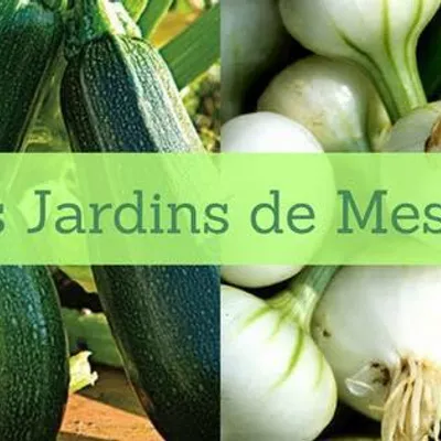 Les jardins de Meslay
