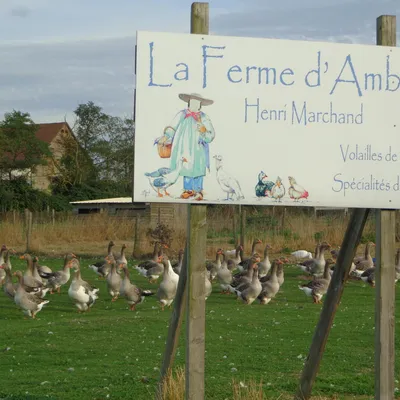 La Ferme d'Ambon