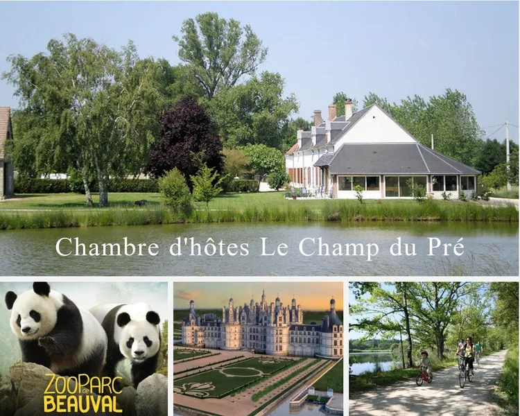 LE CHAMP DU PRE