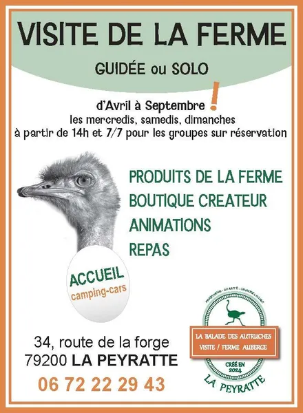 La balade des Autruches