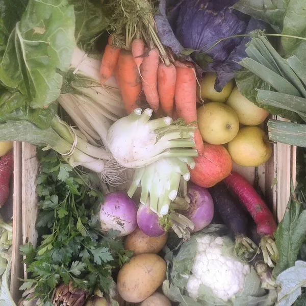 Saveurs des Pampas