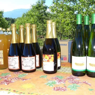FERME ST ANDRE -