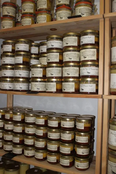 Ferme de Tandounet