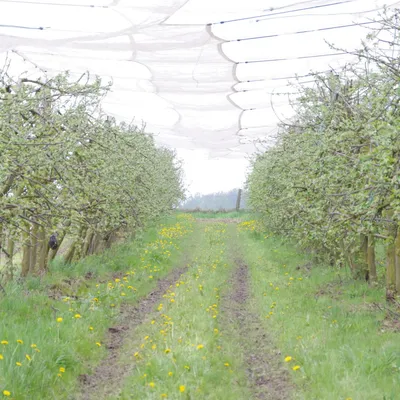 Ferme La Fruitière