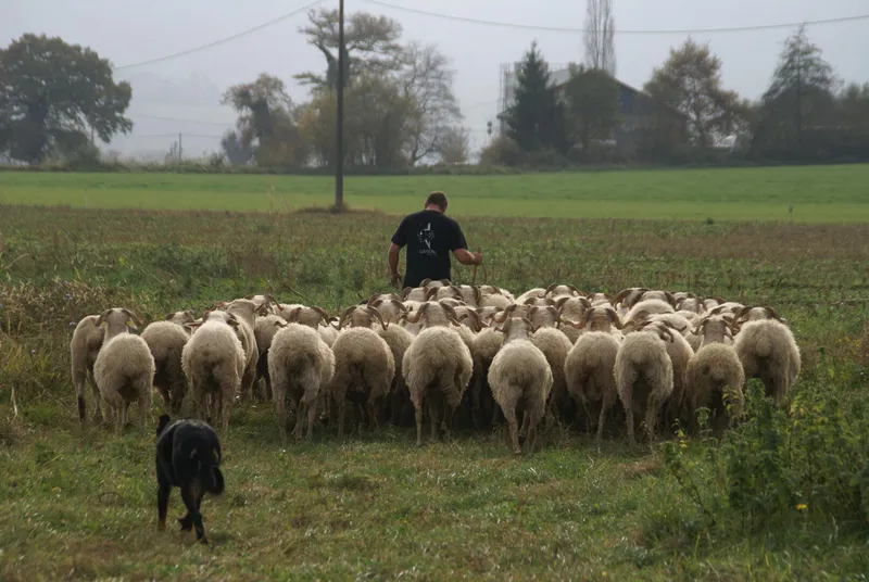 Ferme du Payssas