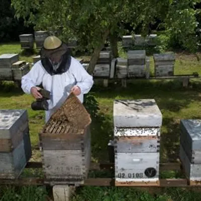 Les Ateliers de l'abeille