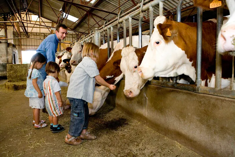 Ferme d'Anglards Le Pommier