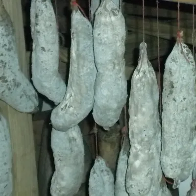 Ferme de Cintrat