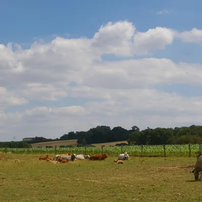 Ferme de Ducasse