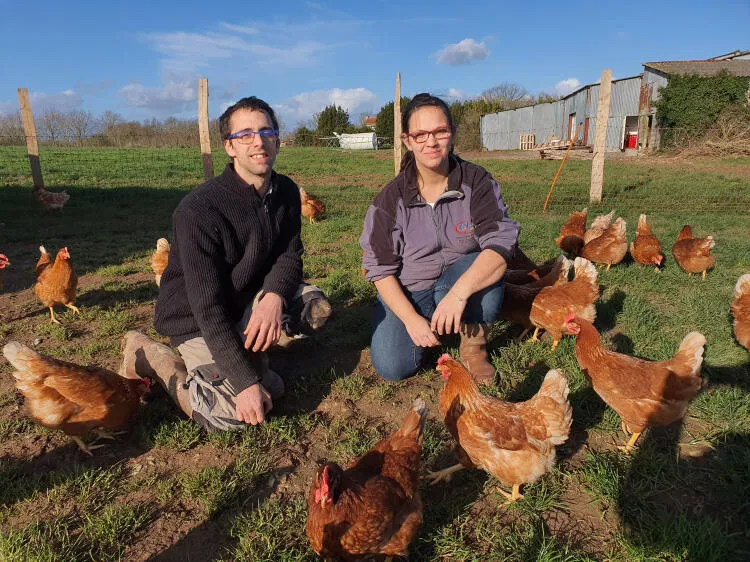 Les Oeufs d'Antan