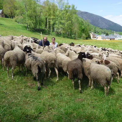GAEC Val d'Azun