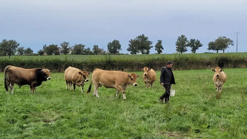 La Ferme à Croutet