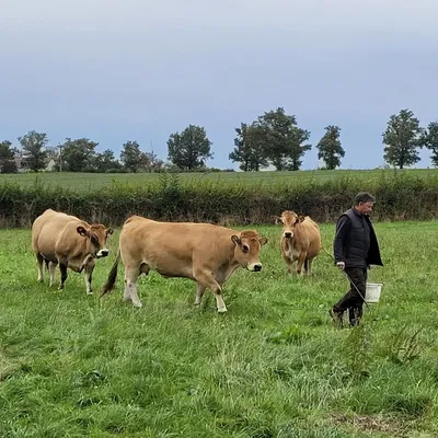 La Ferme à Croutet