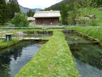 Pisciculture des Meuniers