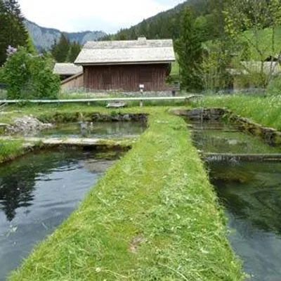 Pisciculture des Meuniers