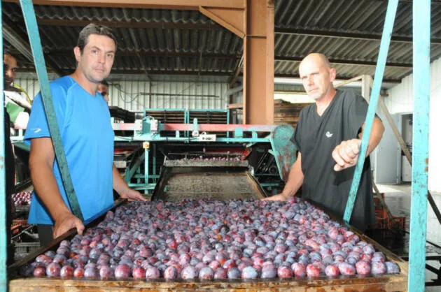 Vergers des deux Côteaux