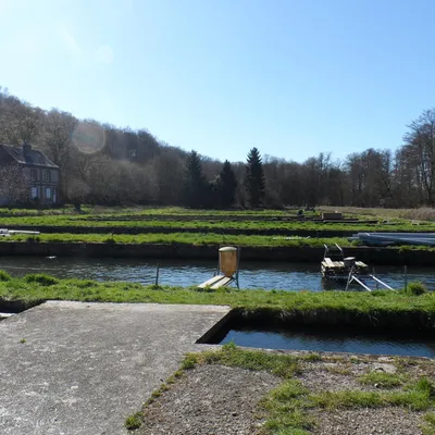 Pisciculture de Bernay