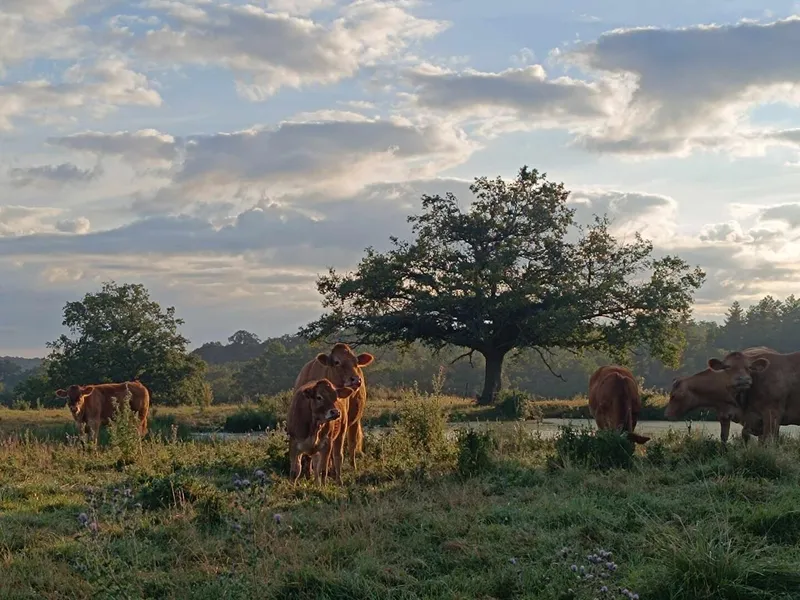 La Ferme de l'Harmonie