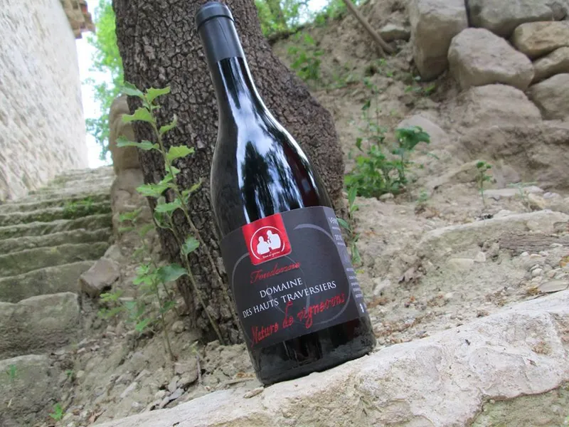 DOMAINE DES HAUTS TRAVERSIERS