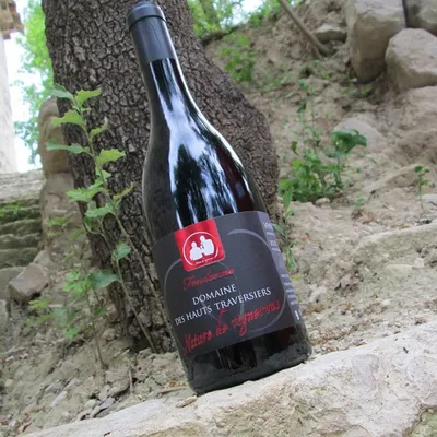 DOMAINE DES HAUTS TRAVERSIERS