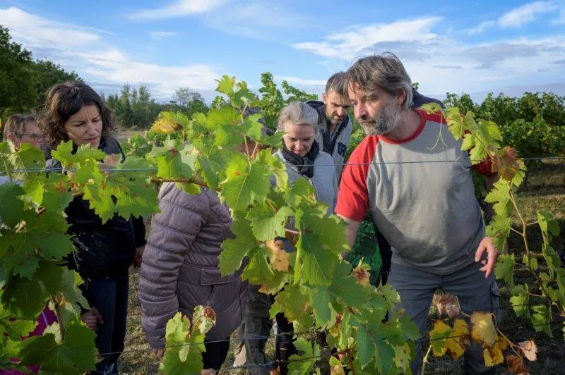 Château Belaygues