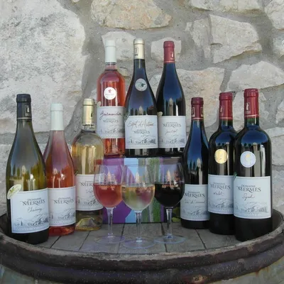 DOMAINE DE MERMÈS
