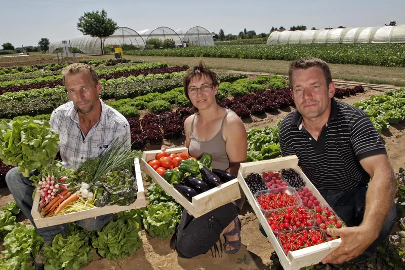LES JARDINS D'IMBERMAIS
