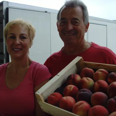 Les Vergers de Saint Rustice