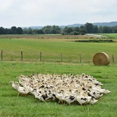 Ferme Moulié