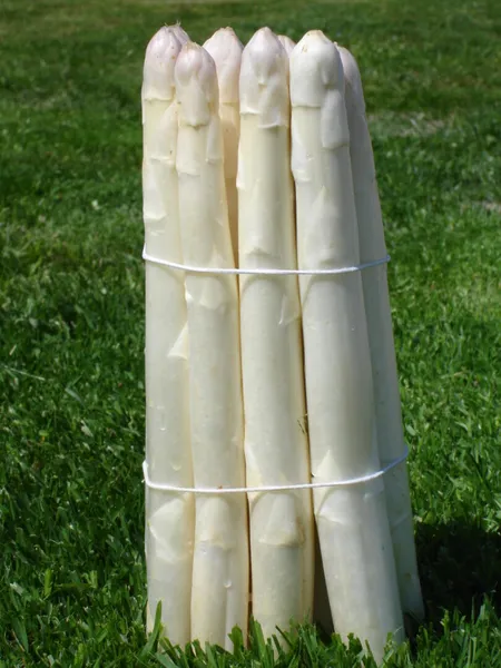 Les Asperges d'Assencières