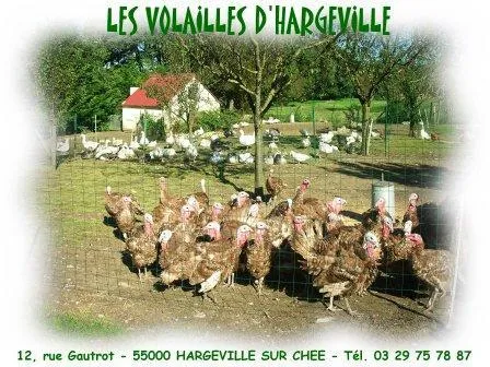Les Volailles d'Hargeville