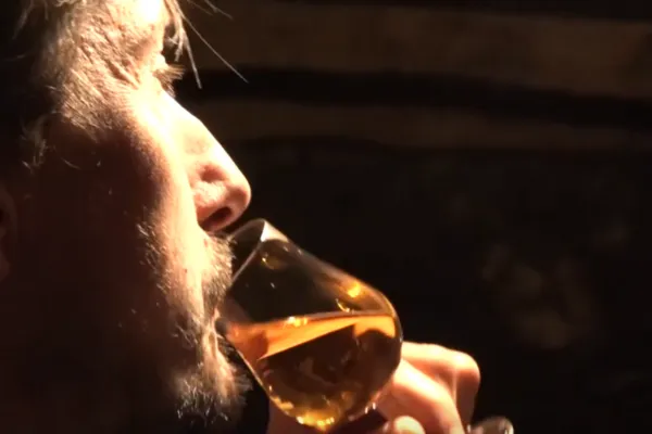 Domaine de la Chevalerie - Vignoble Pelletant