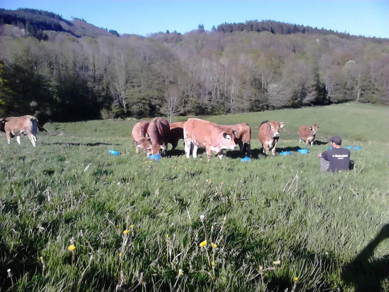 La Ferme de BESSES