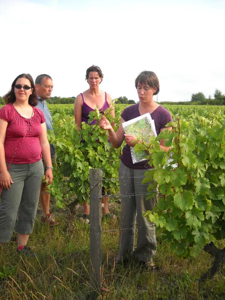 Domaine des Roy