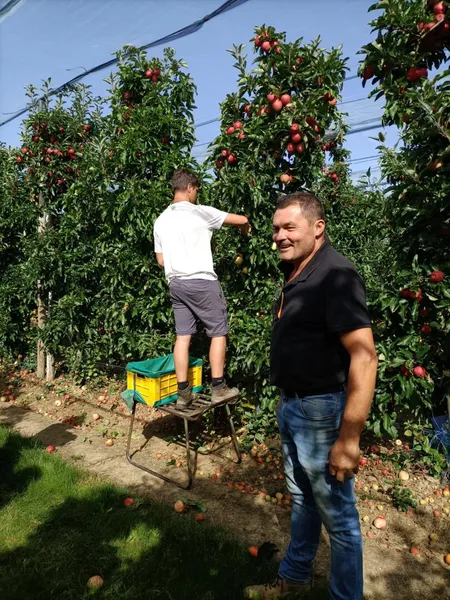 Talbot Fruit