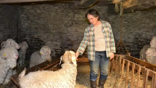 Mohair de l'Argoat